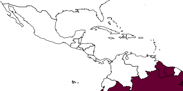 map of Eufriesea violascens     (Mocsáry, 1898)